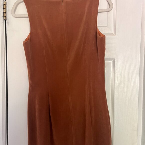 Vintage Anna Velvet Kevin Dress - Picture 4 of 4